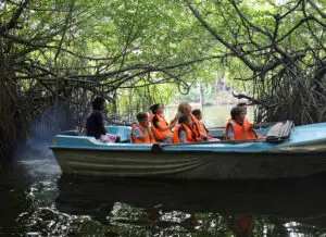 Madu River Mangrove Safari Tour
